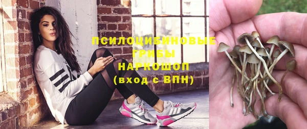 крисы Абинск