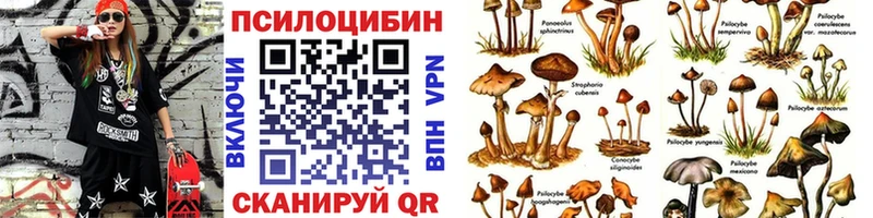 Галлюциногенные грибы мухоморы  ссылка на мегу рабочий сайт  Алзамай 